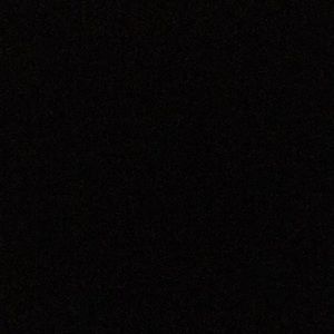 Meet your Posher, Sylvia